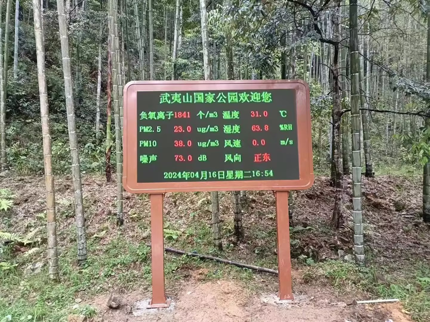 1784792656805305.jpg